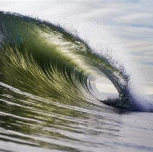 Meet your Posher, Nicholas